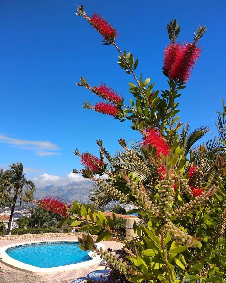 Albir Resort El Albir Exterior foto